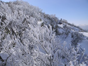 2011 1-26 韓国岳 006